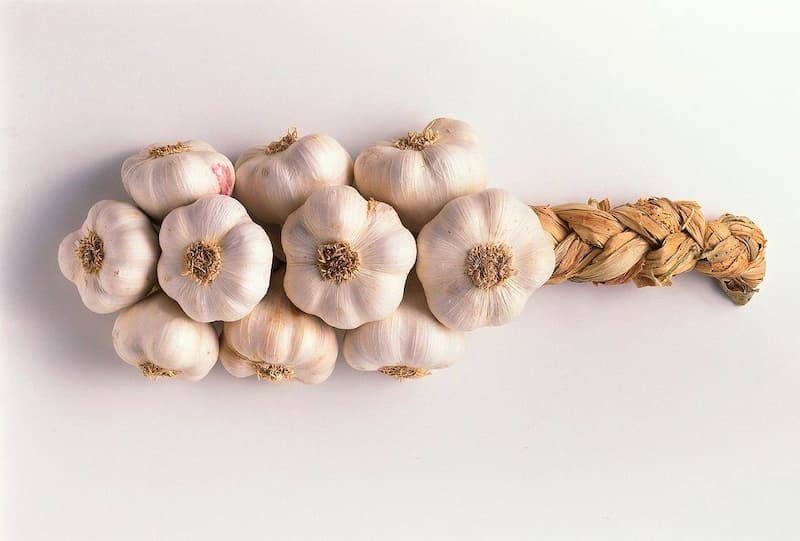 تصویر 3 از سیر همدان طعم ملایم و بافتی نرم